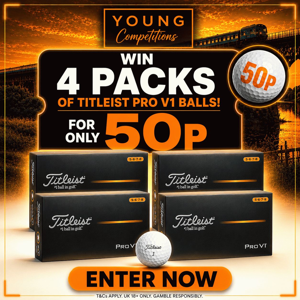 TITLEIST PRO V1 4 PACK, 48 BALLS